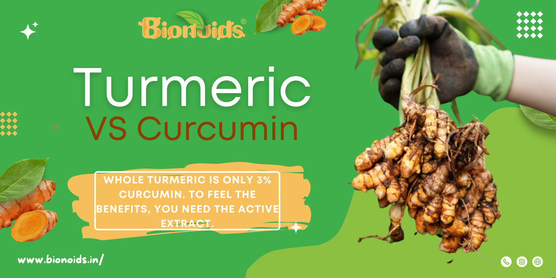curcumin bioavailability
