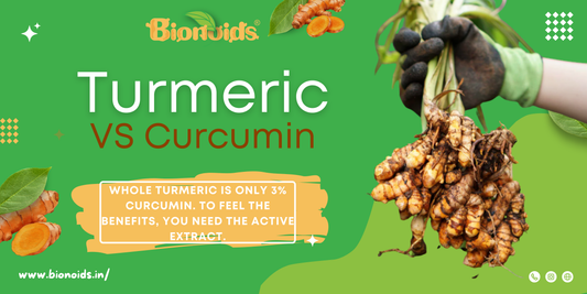 curcumin bioavailability